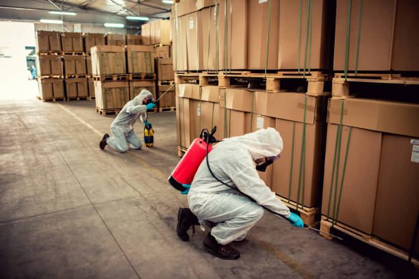 Best Pest Removal Services  in Bath, MI
