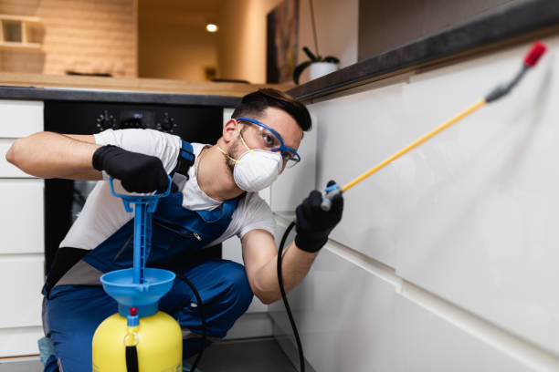 Best Local Pest Control Services  in Bath, MI