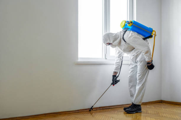 Best Residential Pest Control  in Bath, MI