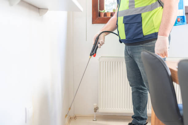 Best Termite Control Services  in Bath, MI