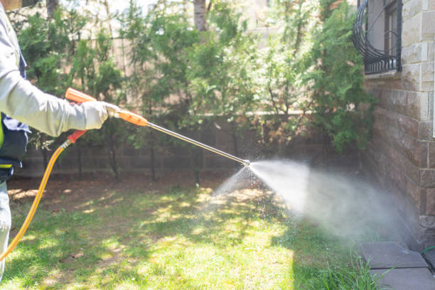 Best Pest Inspection Near Me  in Bath, MI