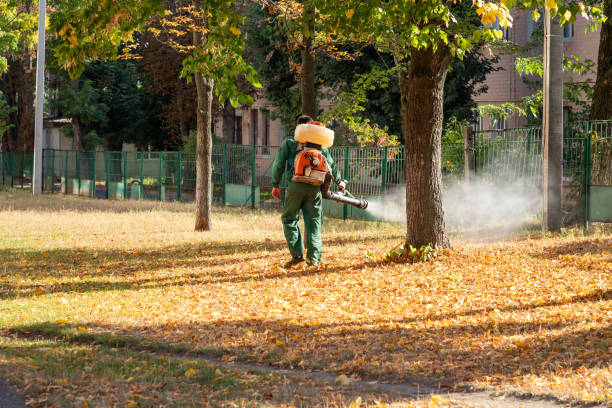 Best Flea Control Services  in Bath, MI