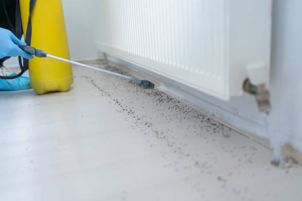 Professional Pest Control in Bath, MI